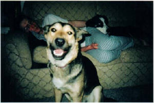 goofygrin.jpg