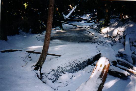 ice4.jpg