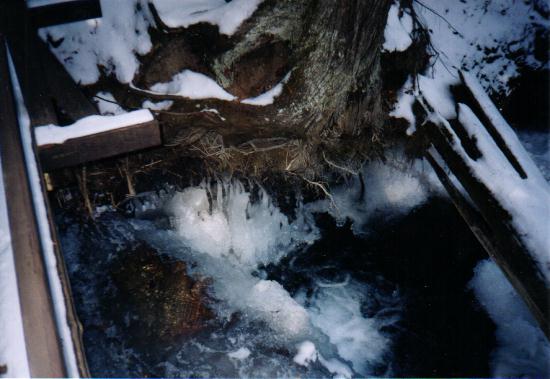ice6.jpg