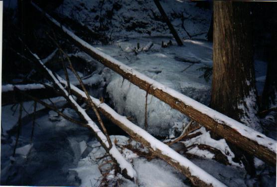 ice7.jpg