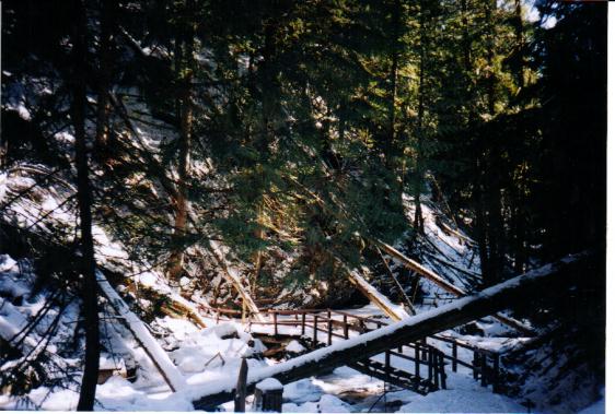 trail1.jpg