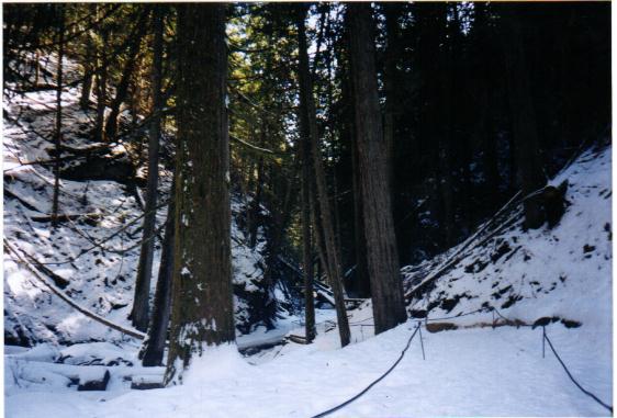 trail2.jpg